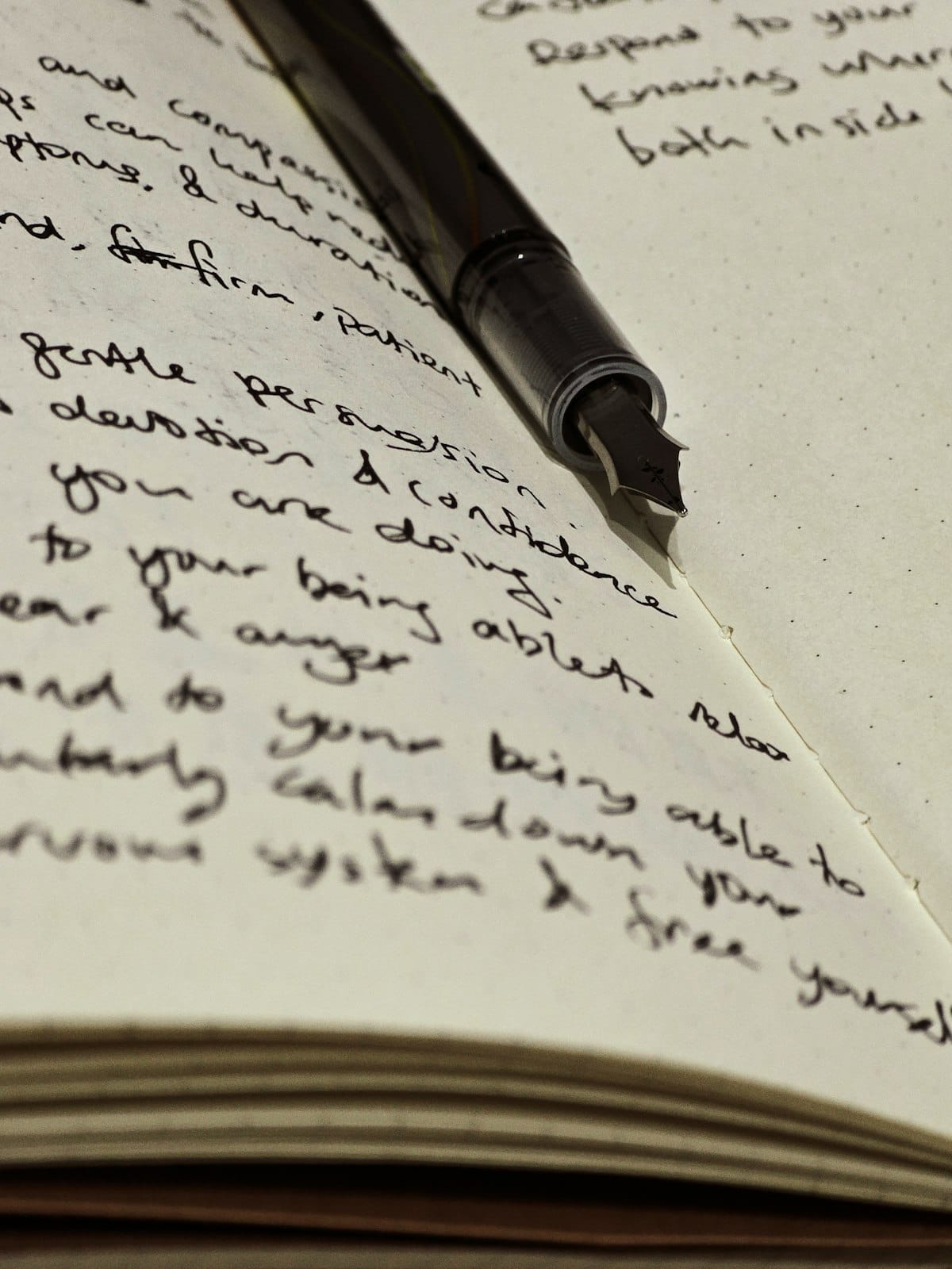 A fountain pen resting on handwritten journal entries — the deliberate act of choosing what stays